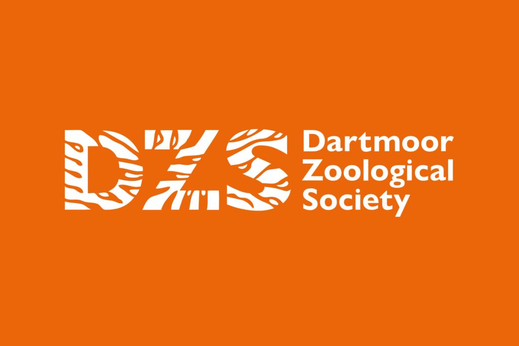 DZS
